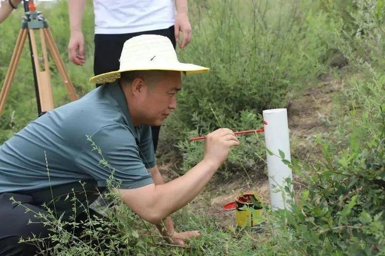 陕西延川县:开展林草湿生态综合监测 摸清林草资源"家底"