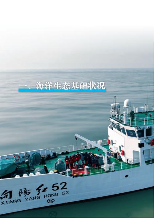 自然资源部:2024年北海区海洋生态预警监测公报