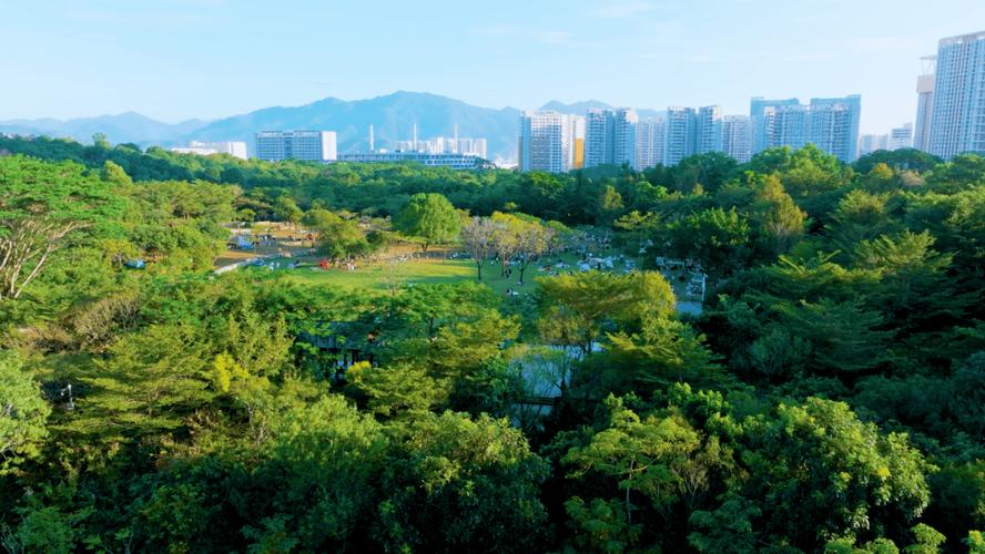 uis实践丨广东首个自然资源三维确权登记项目完成 推动生态产品价值