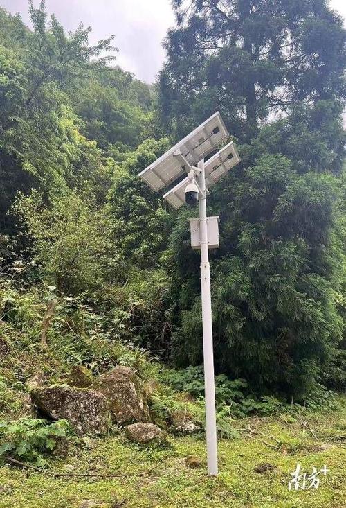 资源监测中心项目》和《自然保护地综合能力建设》2个生态林业建设类